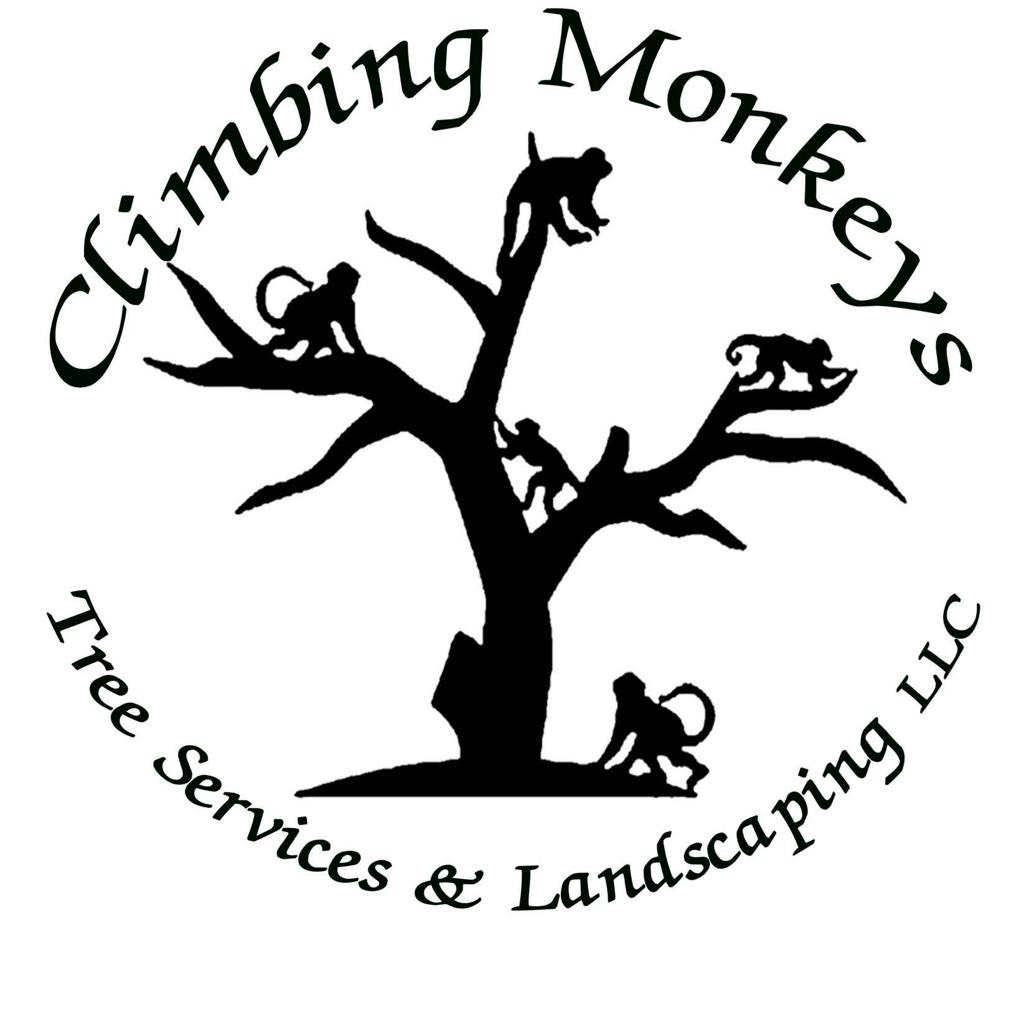 Climbing Monkeys